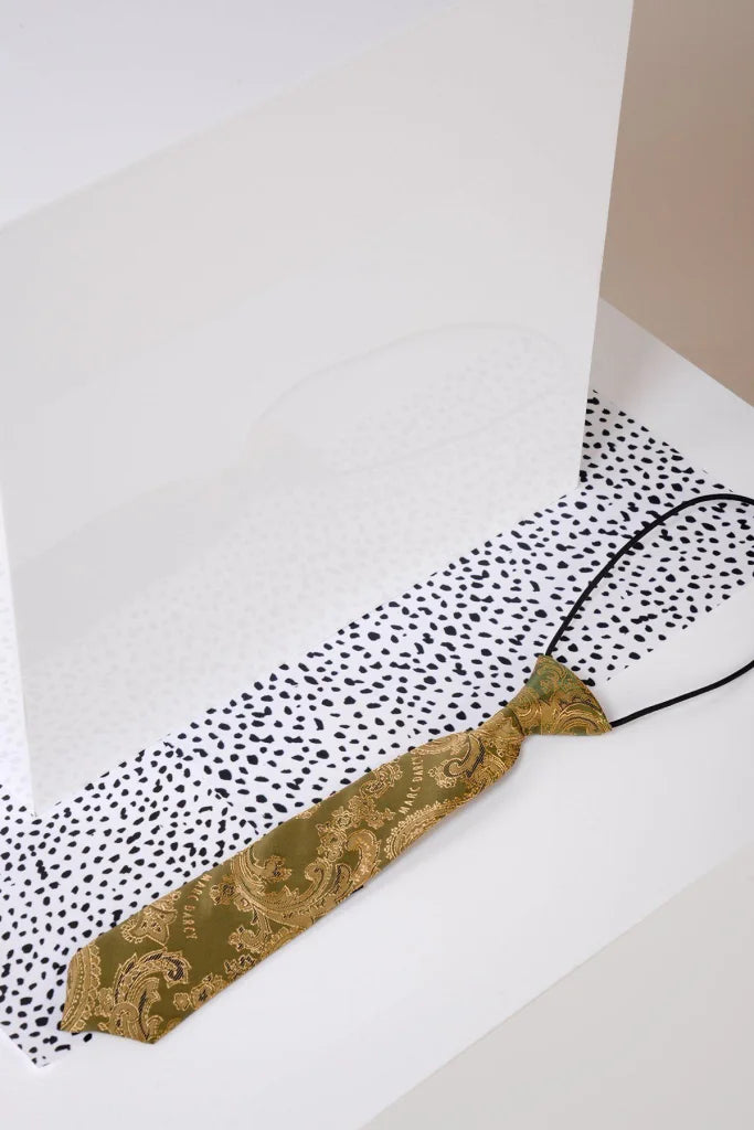 Kinderkrawatte Beige - Gold Paisley - kinder stropdas