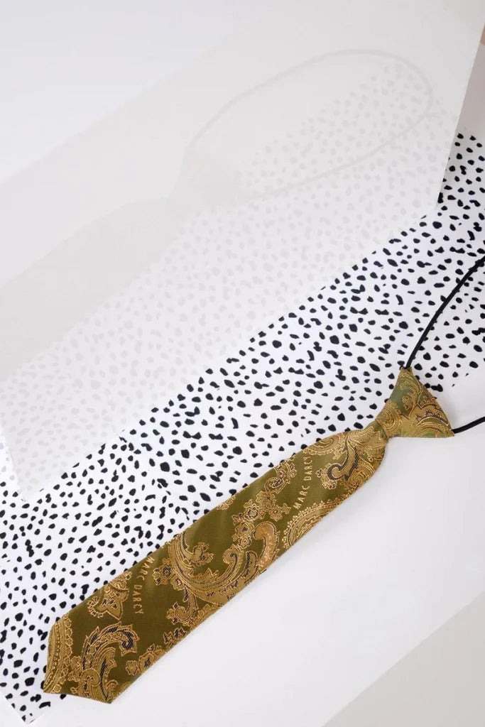 Kinderkrawatte Beige - Gold Paisley - kinder stropdas