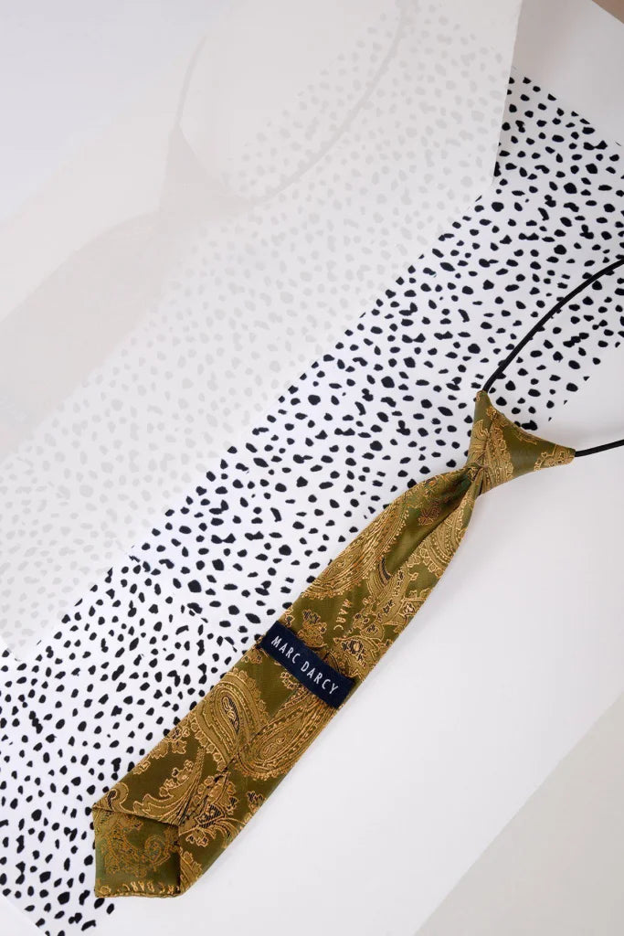 Kinderkrawatte Beige - Gold Paisley - kinder stropdas